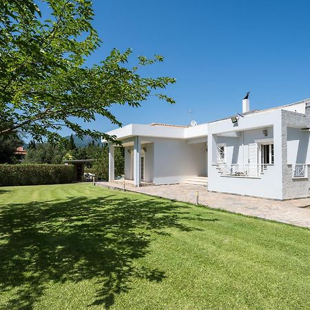 Villa Nefeli With Private Pool By Konnect Dassia  Exterior foto